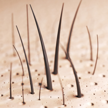 Load image into Gallery viewer, "PEACE"