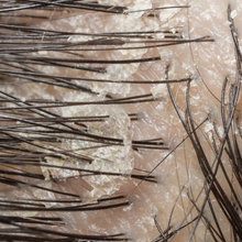 Load image into Gallery viewer, "PEACE"